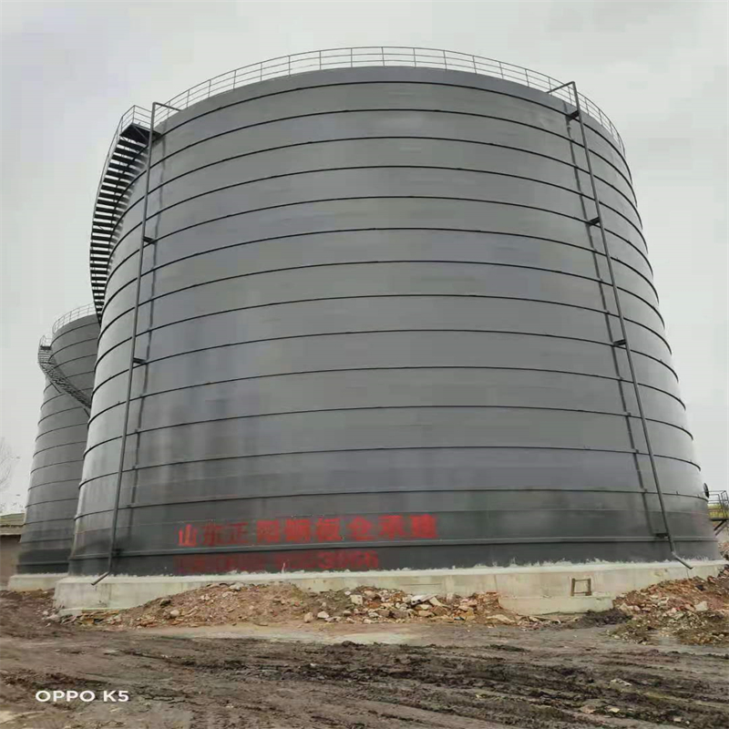 麻涌镇3万吨大型钢板库