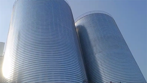 麻涌镇2座混凝土高架卷板仓